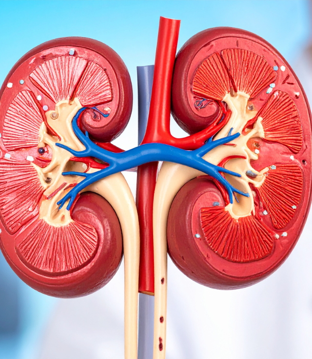 Diseño sin título (15)